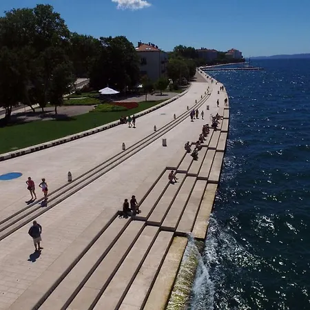 דירה Feral זאדאר